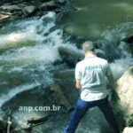 Esforços Intensificados para Mitigar Impactos Ambientais após Vazamento de Agrotóxicos no Rio Vermelho