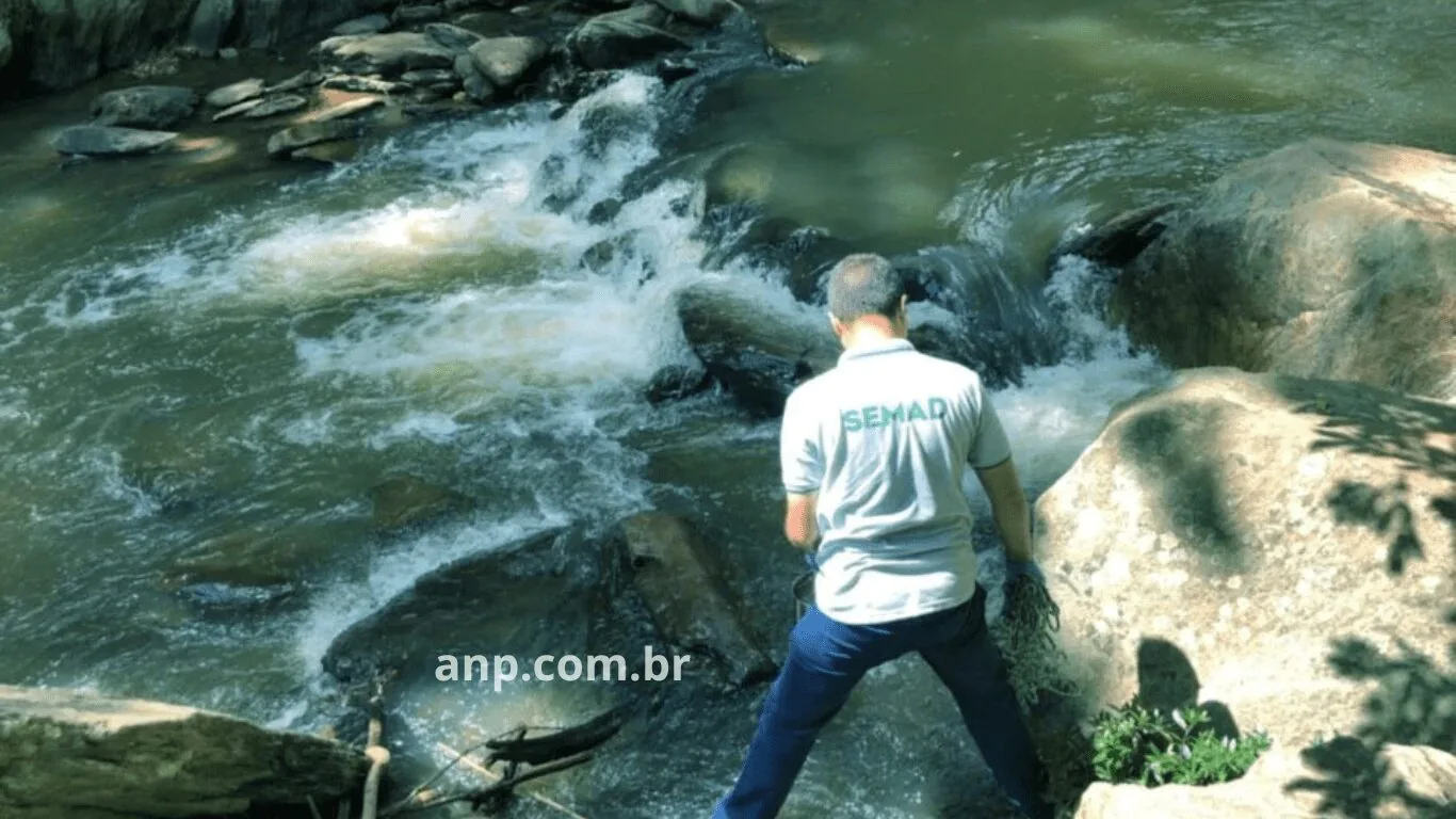 Esforços Intensificados para Mitigar Impactos Ambientais após Vazamento de Agrotóxicos no Rio Vermelho