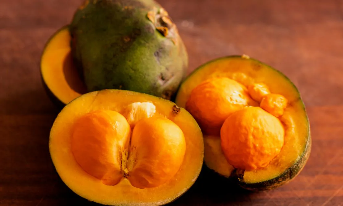 Lei Federal Protege o Pequi e Promove Sustentabilidade no Cerrado