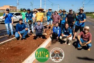 Plantio de 300 Mudas de Jacarandá-da-Bahia Reforça Compromisso Ambiental em Hidrolândia-Go.