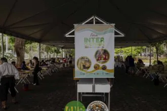 Feira Intercultural no Museu Antropológico da UFG encanta com arte e cultura indígena