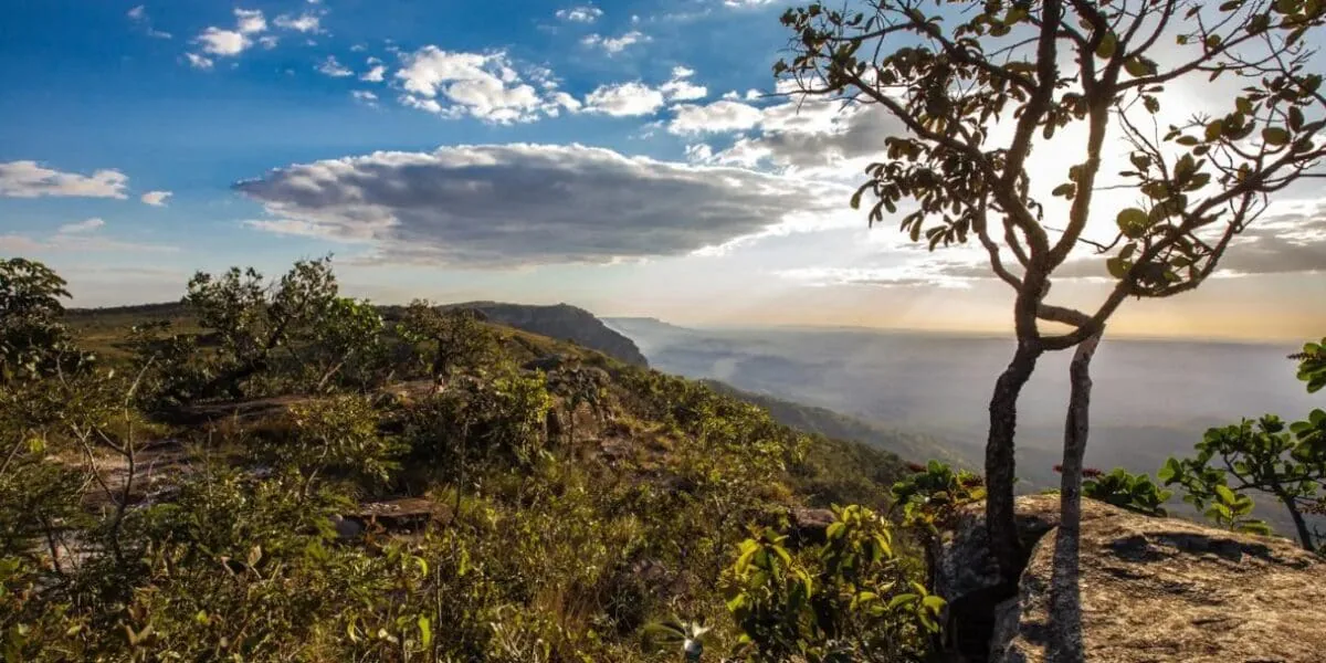 Paisagem montanhosa ao amanhecer com árvores.