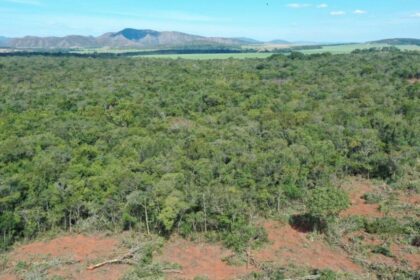 Goiás vira vitrine nacional na luta contra o desmatamento
