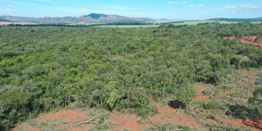 Goiás vira vitrine nacional na luta contra o desmatamento