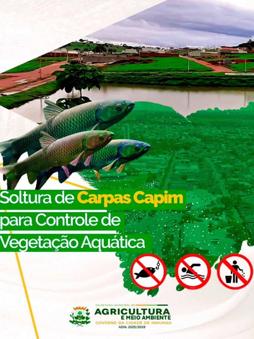 Prefeitura de Inhumas Realiza Soltura de Carpas Capim no Lago do Residencial Portal para Controle Ambiental