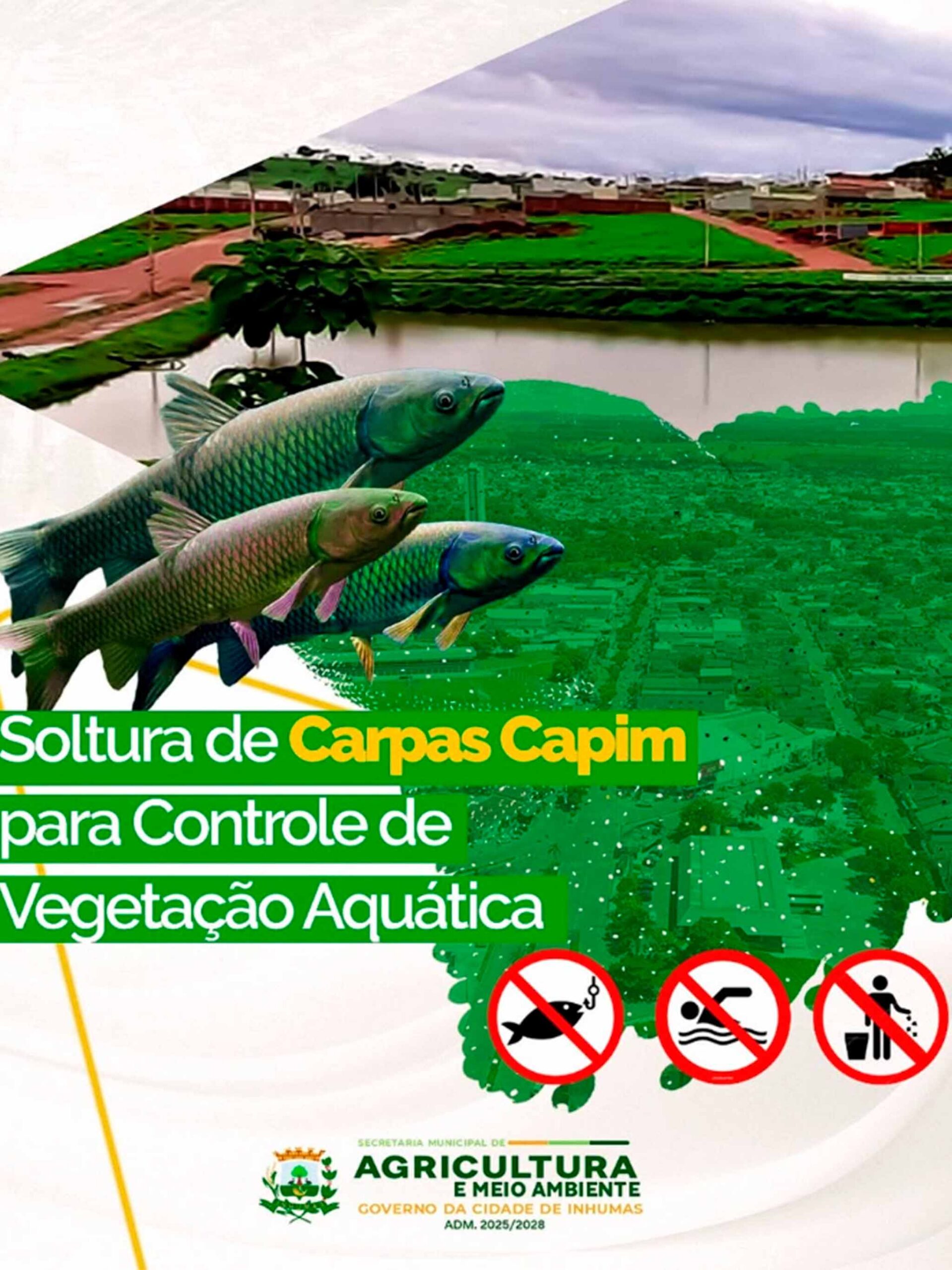 Prefeitura de Inhumas Realiza Soltura de Carpas Capim no Lago do Residencial Portal para Controle Ambiental