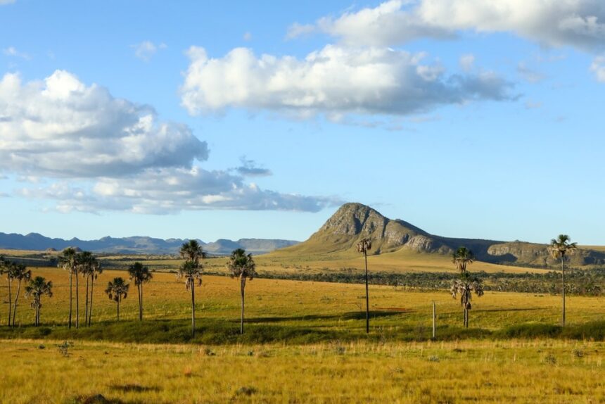 Goiás mantém ritmo de alta no turismo e se destaca em cenário nacional