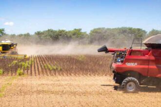 Balança comercial de Goiás registra superávit de US$ 826 milhões em julho, impulsionada pela soja