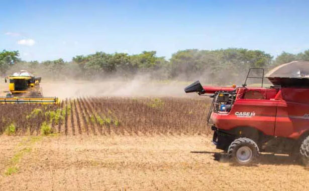 Balança comercial de Goiás registra superávit de US$ 826 milhões em julho, impulsionada pela soja