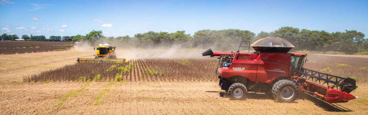 Balança comercial de Goiás registra superávit de US$ 826 milhões em julho, impulsionada pela soja