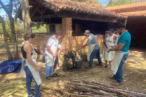 Curso gratuito de cachaça artesanal capacita produtores e fortalece tradição no Entorno do DF
