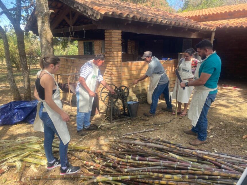 Curso gratuito de cachaça artesanal capacita produtores e fortalece tradição no Entorno do DF
