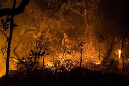 Nova norma da Semad estabelece critérios para identificar e punir responsáveis por incêndios em Goiás