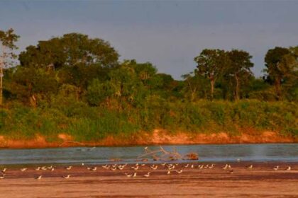 Rio Araguaia registra menor nível histórico em agosto; estiagem já dura mais de 100 dias em Goiás