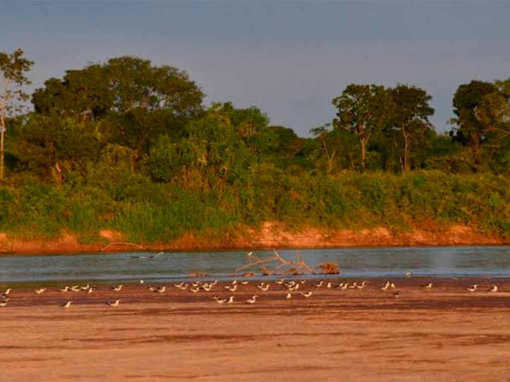 Rio Araguaia registra menor nível histórico em agosto; estiagem já dura mais de 100 dias em Goiás
