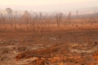 Goiás enfrenta seca prolongada e risco extremo de incêndios: “Qualquer faísca pode virar tragédia”.