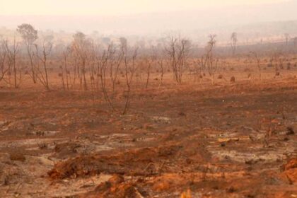 Goiás enfrenta seca prolongada e risco extremo de incêndios: “Qualquer faísca pode virar tragédia”.