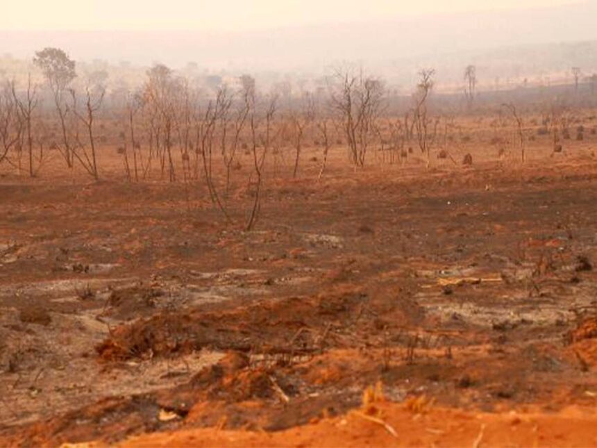 Goiás enfrenta seca prolongada e risco extremo de incêndios: “Qualquer faísca pode virar tragédia”.