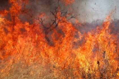 Incêndio de grandes proporções atinge Pirenópolis e mobiliza equipes de combate