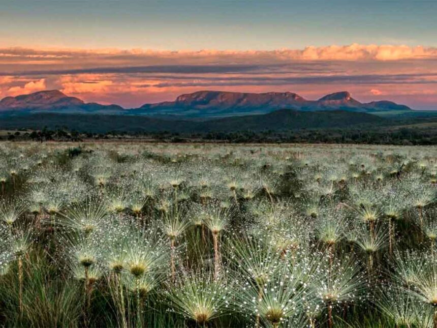 Governo de Goiás apresenta destinos turísticos em feira internacional na Argentina