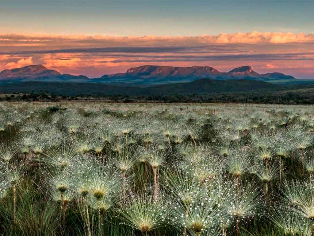 Governo de Goiás apresenta destinos turísticos em feira internacional na Argentina