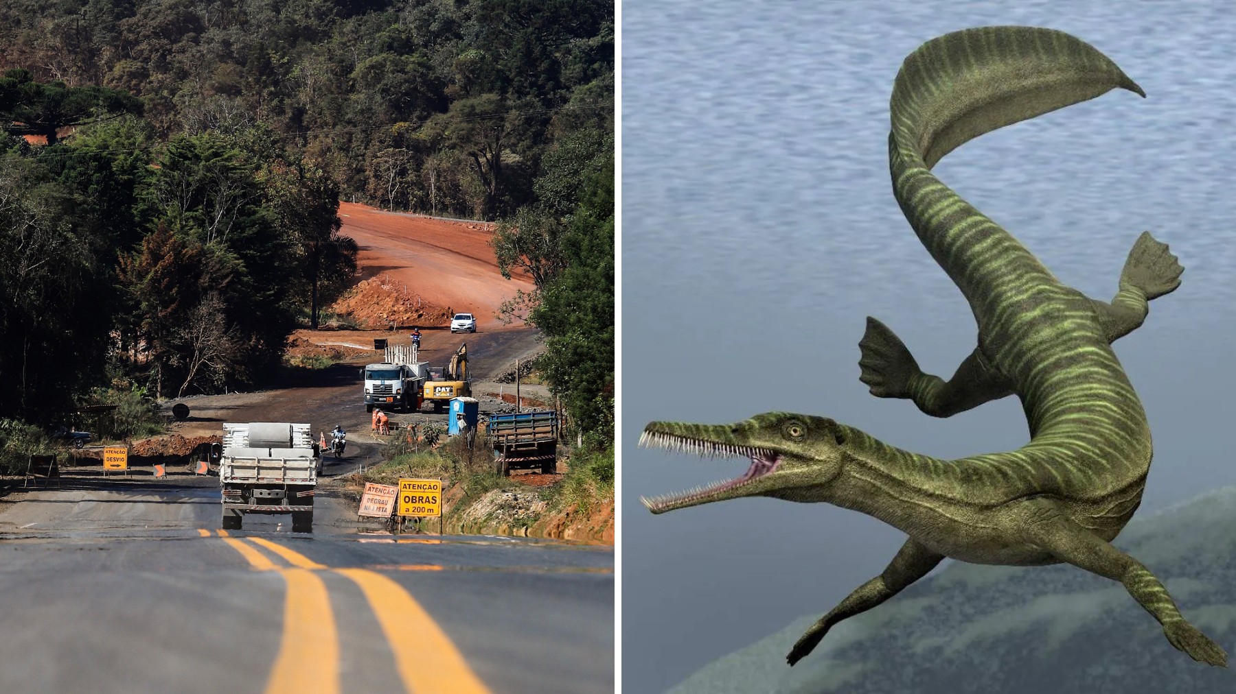 Obra de asfalto é paralisada no Paraná após descoberta de fósseis mais antigos que os dinossauros