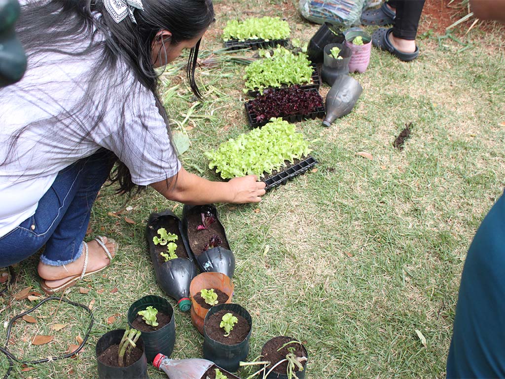 Mulher plantando mudas de alface em garrafas recicladas.