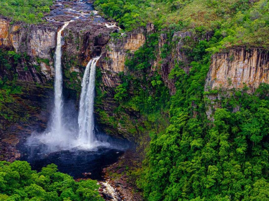Bioma cerrado e a sua importância no equilíbrio ambiental do País