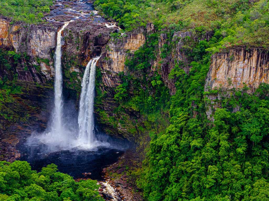 Bioma cerrado e a sua importância no equilíbrio ambiental do País