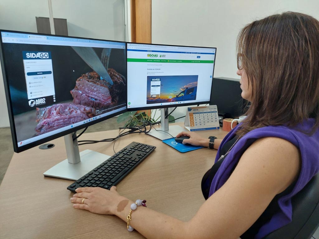 Mulher trabalhando em computador com dois monitores.