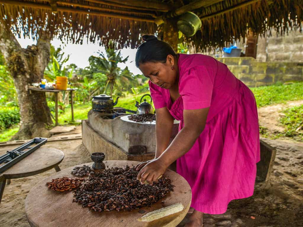 Mulher processa cacau em cabana rural.