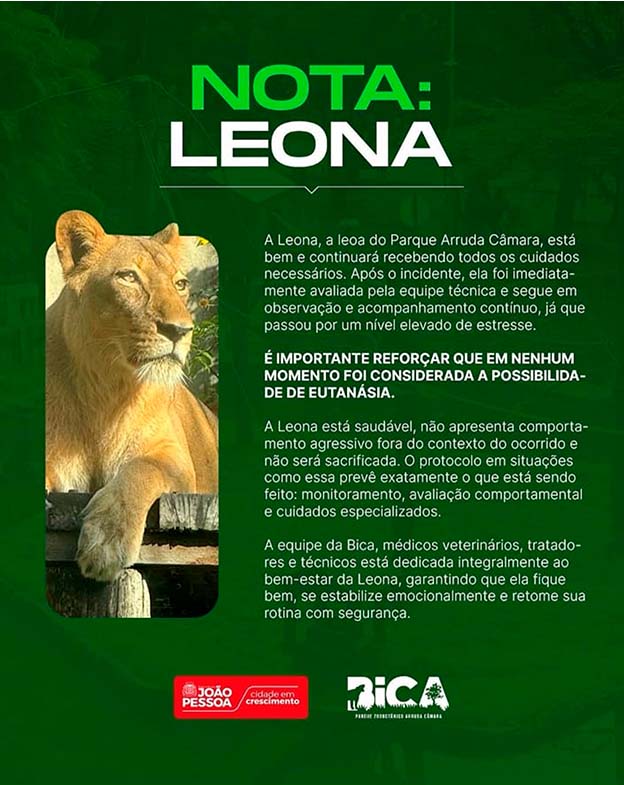 Nota sobre saúde e cuidados da leoa Leona.
