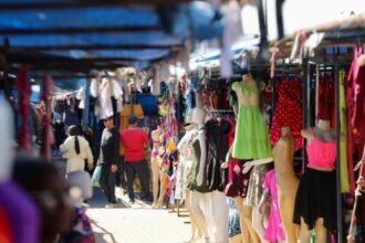 Por que Goiânia virou a capital das feiras no Brasil