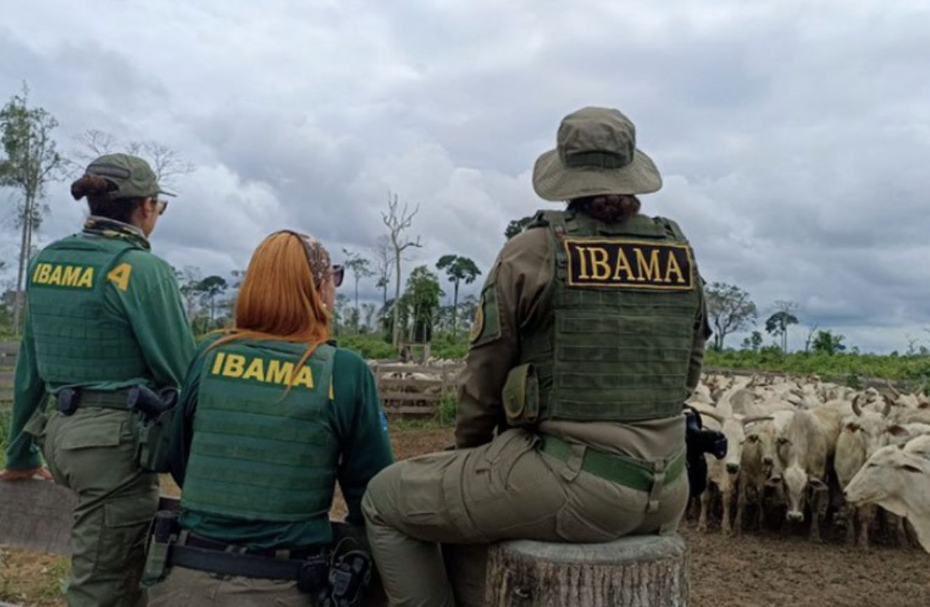 Ibama acumula 950 milhões em multas prescritas e sofre com déficit de servidores
