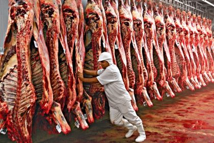 Carne bovina lidera exportações em Goiás, atingindo valores recordes e diversificando mercados em 2025