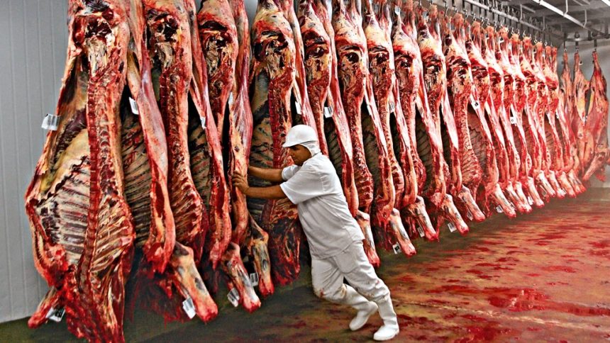 Carne bovina lidera exportações em Goiás, atingindo valores recordes e diversificando mercados em 2025