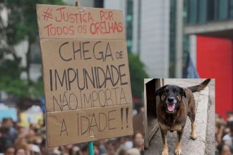 Brasil vai às ruas por justiça ao cão orelha