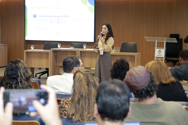 Fórum discute construção de políticas ambientais e adaptação climática com consulta pública sobre emissões florestais