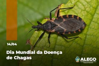 Atenção para os vetores: campanha alerta sobre doença negligenciada desde 1909