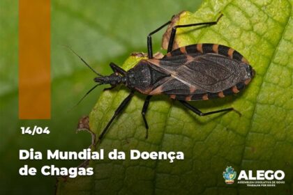 Atenção para os vetores: campanha alerta sobre doença negligenciada desde 1909