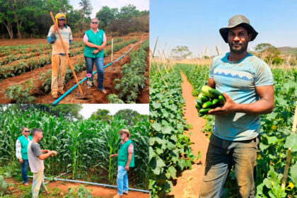 Agro é Social leva serviços gratuitos à população de Uruaçu nesta sexta-feira