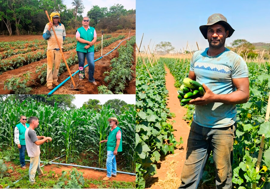 Agro é Social leva serviços gratuitos à população de Uruaçu nesta sexta-feira