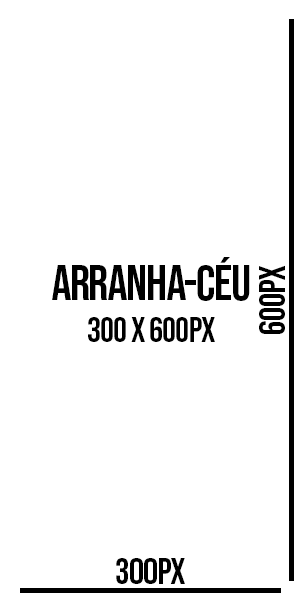 Banner arranha-céu 300x600 pixels vertical