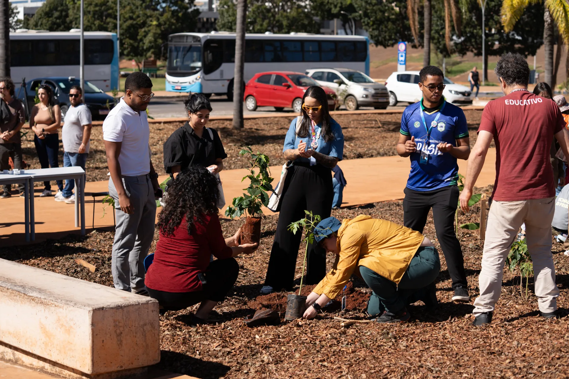 Sesi Lab apresenta o Cultiva Lab: um espaço agroecológico educativo com 340 plantas nativas em Brasília.