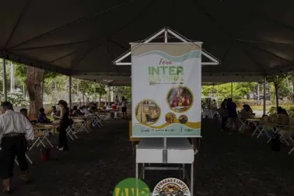Feira Intercultural no Museu Antropológico da UFG encanta com arte e cultura indígena Feira Intercultural no Museu Antropológico da UFG encanta com arte e cultura indígena