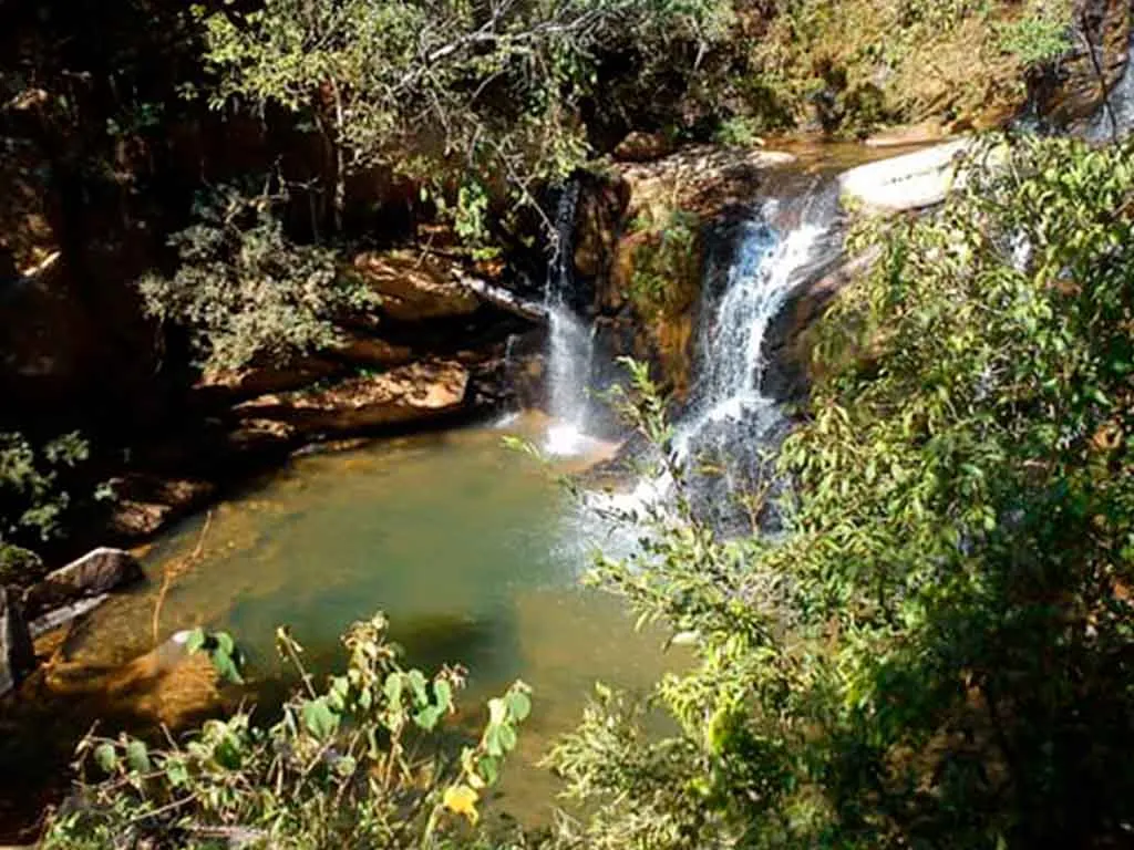 Cachoeira em meio à floresta exuberante