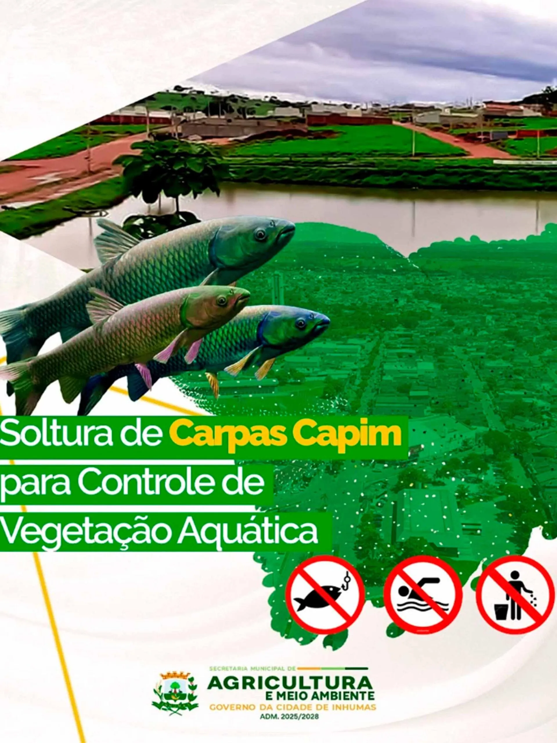 Prefeitura de Inhumas Realiza Soltura de Carpas Capim no Lago do Residencial Portal para Controle Ambiental Prefeitura de Inhumas Realiza Soltura de Carpas Capim no Lago do Residencial Portal para Controle Ambiental