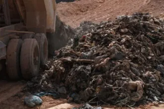 Padre Bernardo: 20% do lixo que atingiu o córrego Santa Bárbara já foi removido Padre Bernardo: 20% do lixo que atingiu o córrego Santa Bárbara já foi removido