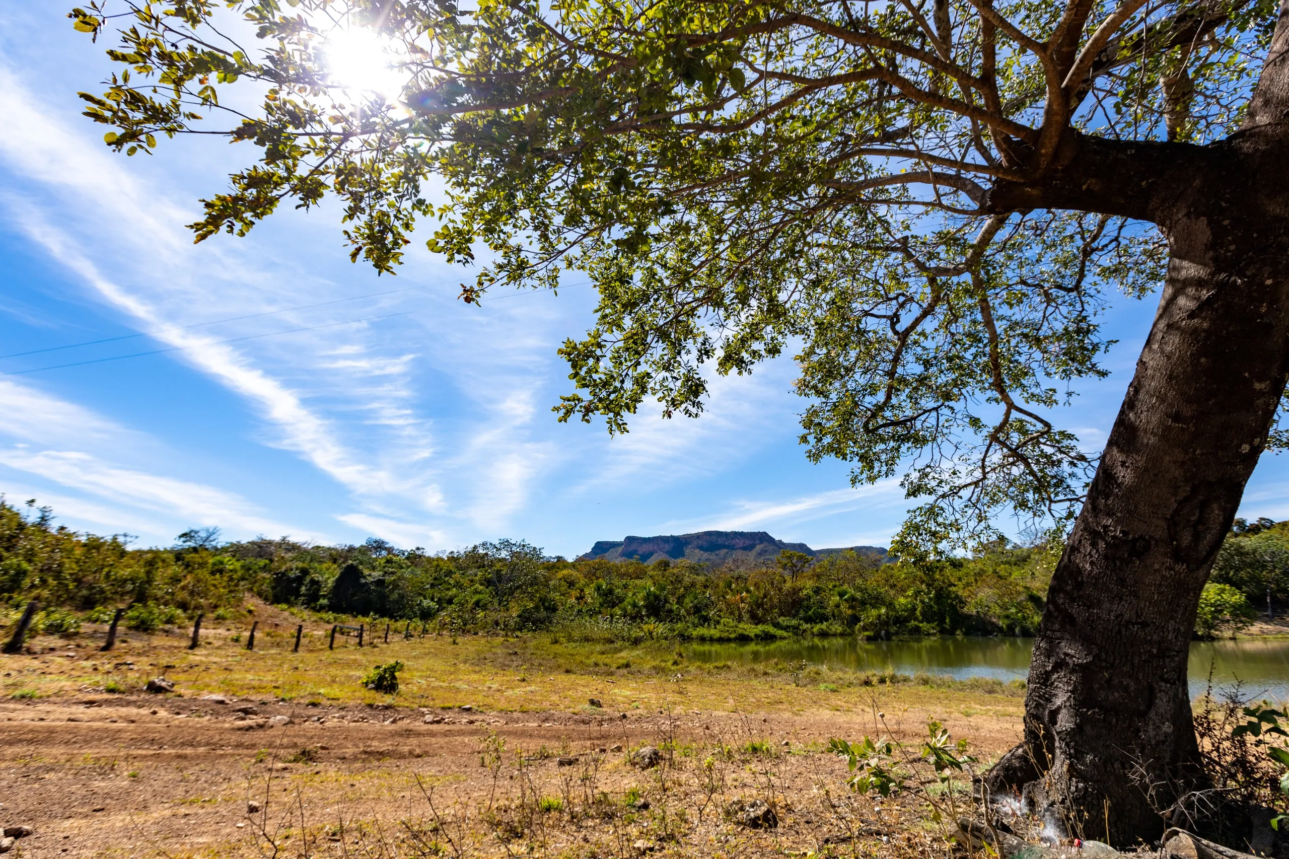 Paisagem rural com árvore, montanha e céu azul.
