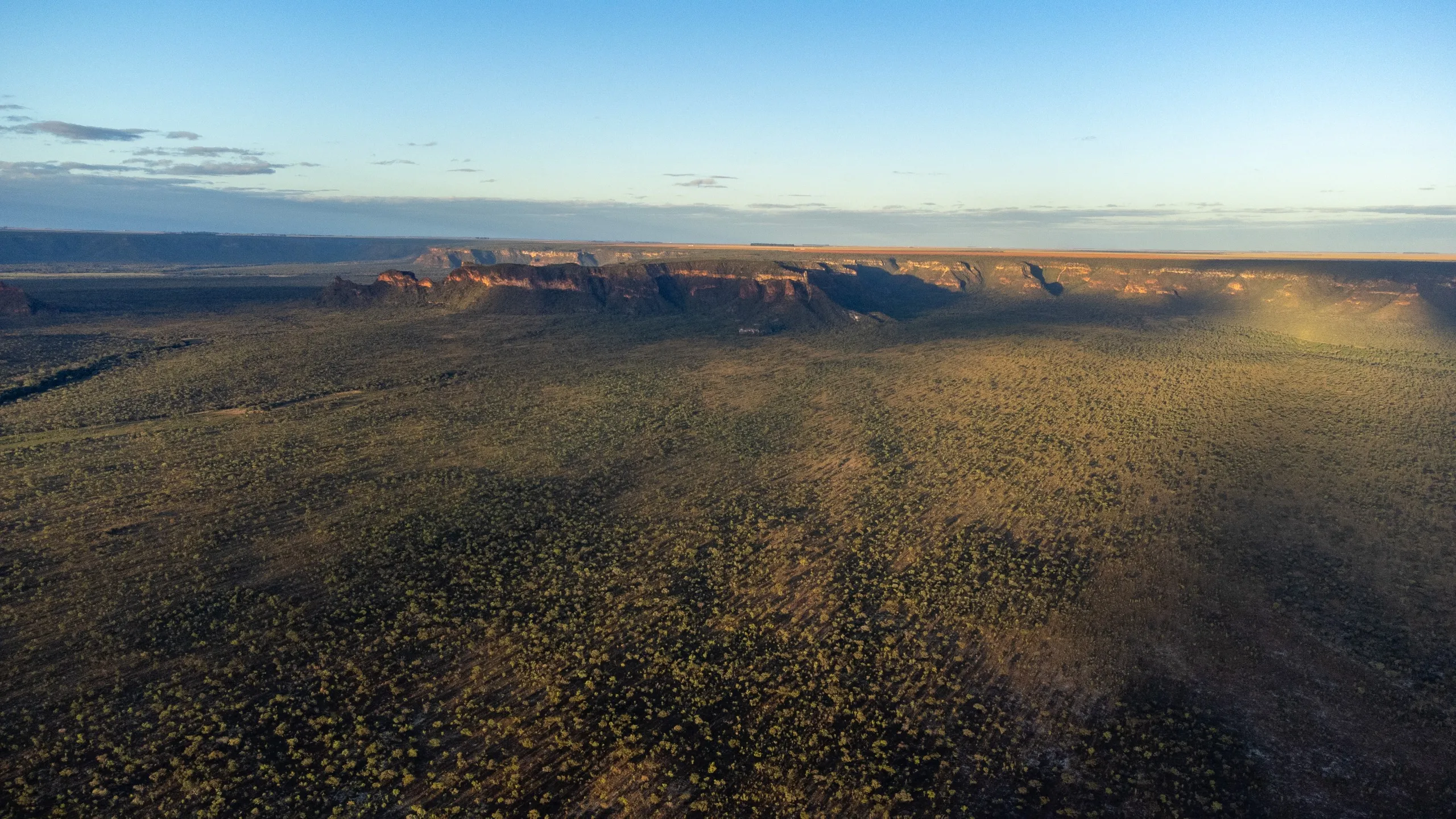 Paisagem do Cerrado ao entardecer, com colinas distantes.